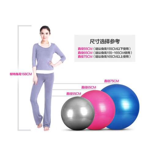 PVC Fitness Yoga Balance Ball瑜伽球Home Gym Bola Pilates跨境 - 图3