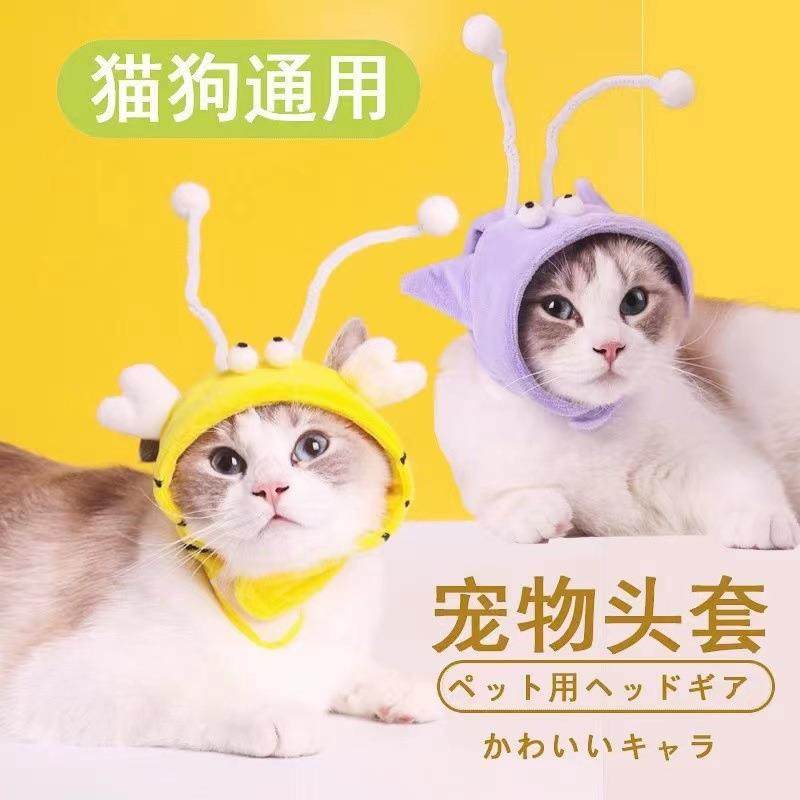 头戴逗猫棒宠物玩具鸟羽毛头套毛绒动物帽猫咪头套发声逗猫玩具,淘宝优惠券,粉丝福利购,淘宝优惠卷