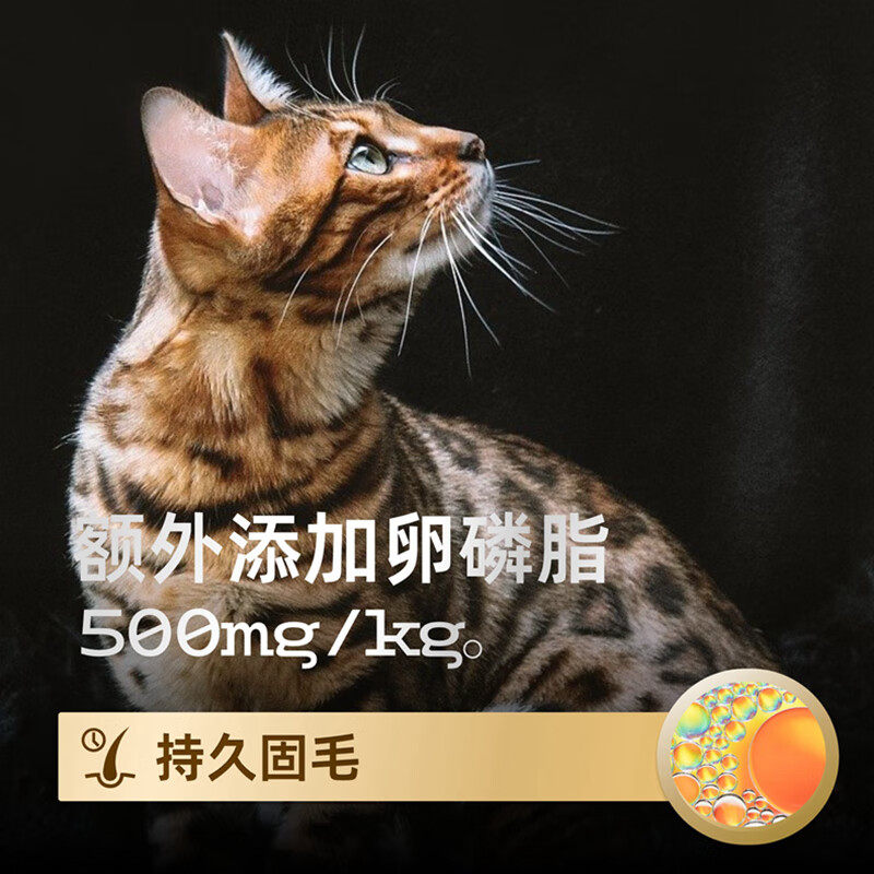 怕老婆的豆哥小毛豆彩虹桶归真猫粮猫草化毛排毛洁齿零食夹心冻干,淘宝优惠券,粉丝福利购,淘宝优惠卷