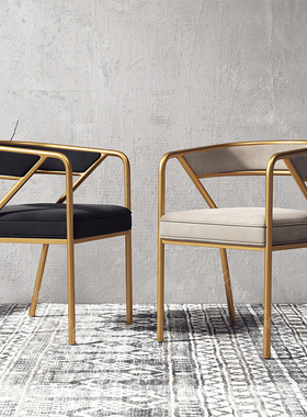 Nordic Luxury Dining Chair Home Furniture Leisure Armchair