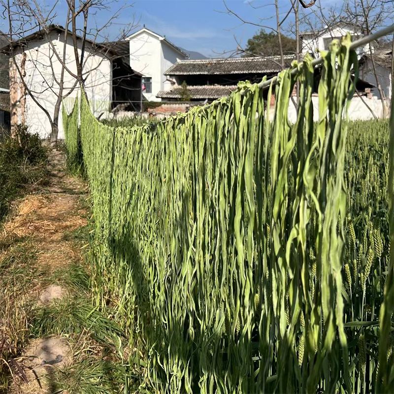 识蜀记精品贡菜一箱商用干贡菜响菜火锅干苔菜大理漾濞农家菜8斤 - 图1