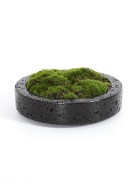 新中式现代仿洞石黑色树脂花盆仿真绿植装饰客厅桌面艺术装饰摆件