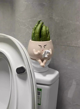【厕所搭子】佛手柑托盘高颜值摆件客厅轻奢高档花瓶装饰多肉盆栽