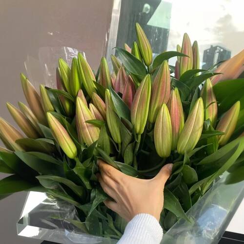 香水百合花鲜花云南直发昆明基地直批鲜切花家用水养插花速递同城 - 图0