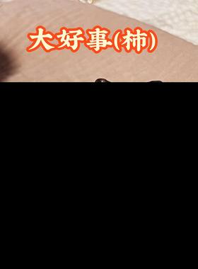 【奇木舍】一个大好事（柿）！柿柿顺心如意手把玩柿子摆件