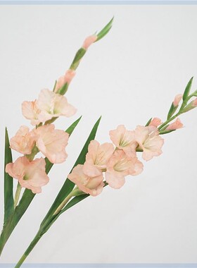 剑兰手感仿真假花欧式餐桌绢花