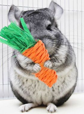 5pcs Rabbit Molar Toys Vegetable Shaped Molar Toys Hamsters