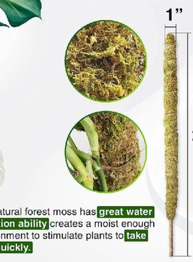 2 Pack 24 Inch Real Moss Pole for Monstera Bendable Plant