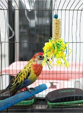 5pcs Wooden Rattan Bird Parrot Shredding Toys Hanging