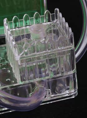 3D Ant Farm Educational Maze Live Feeding System Ants