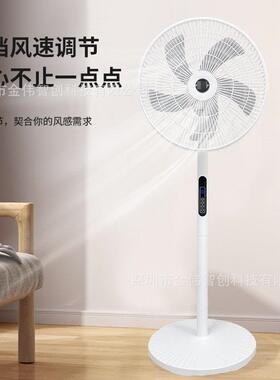 遥控电风扇落地扇家用多功能8档强劲大风力立式电扇外贸静音