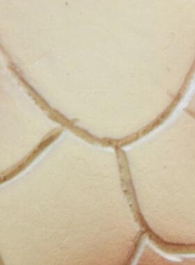 户外玻璃钢海洋主题摆件珊瑚海螺贝壳海龟海豚摆件海滩海洋馆装饰