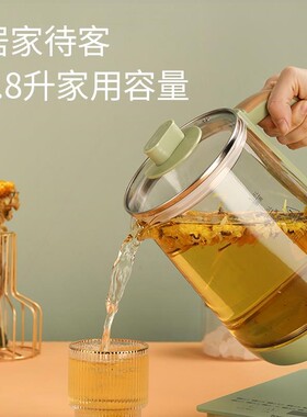 longde/龙的养生壶电水壶烧水壶LD-YS1896多功能花茶壶