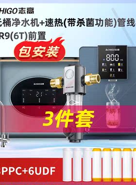 双出水净水器家用直饮壁挂式加热一体机厨房管线机纯水机套装