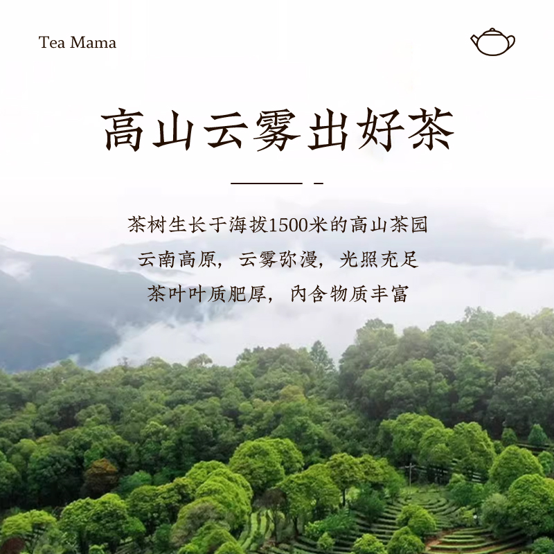 澜沧古茶白玉玲珑散茶60g罐装 云南老白茶3年陈牡丹王级冷泡茶