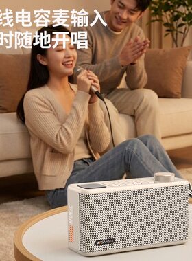 进口2026新款山水40W无线音响双喇叭可连蓝牙耳机插卡插u盘听歌收