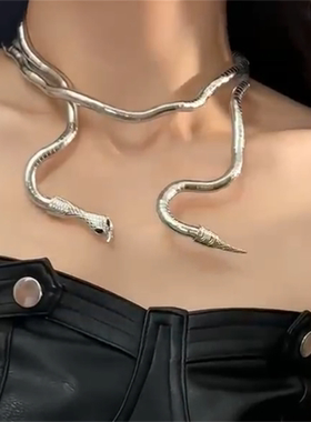 银色蛇形缠绕choker项圈女