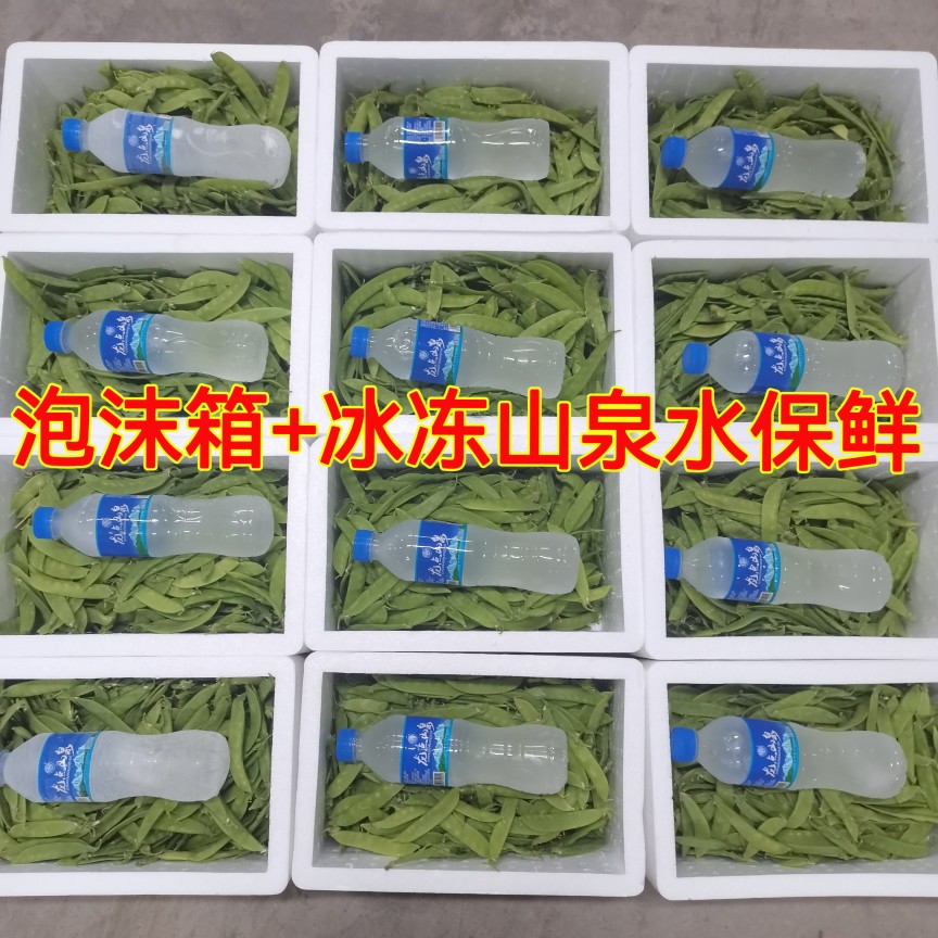 云南高山荷兰豆新鲜现摘带壳豌豆荚豆角甜豆扁豆菜豆油豆现摘包邮 - 图3