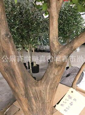厂家定制高仿真鸡蛋花树室内外大型景观假树商场装饰假鸡蛋花树