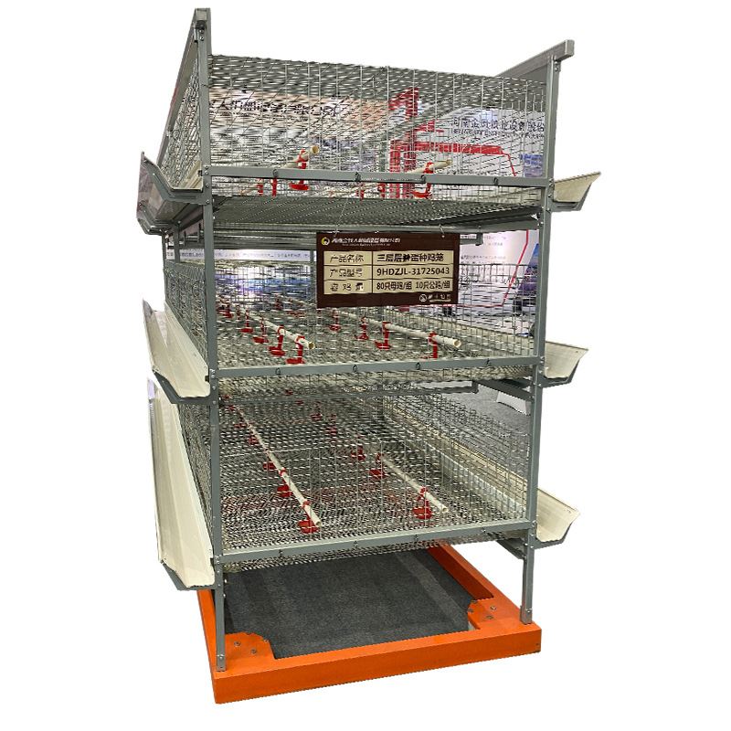 厂家直销畜牧养殖机械设备五层层叠蛋鸡笼全自动捡蛋机-图3