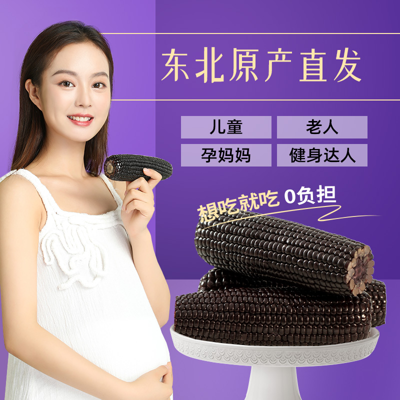 东北有机黑糯玉米棒新鲜采摘粗粮代餐软糯香甜黏嫩轻食代餐苞米棒