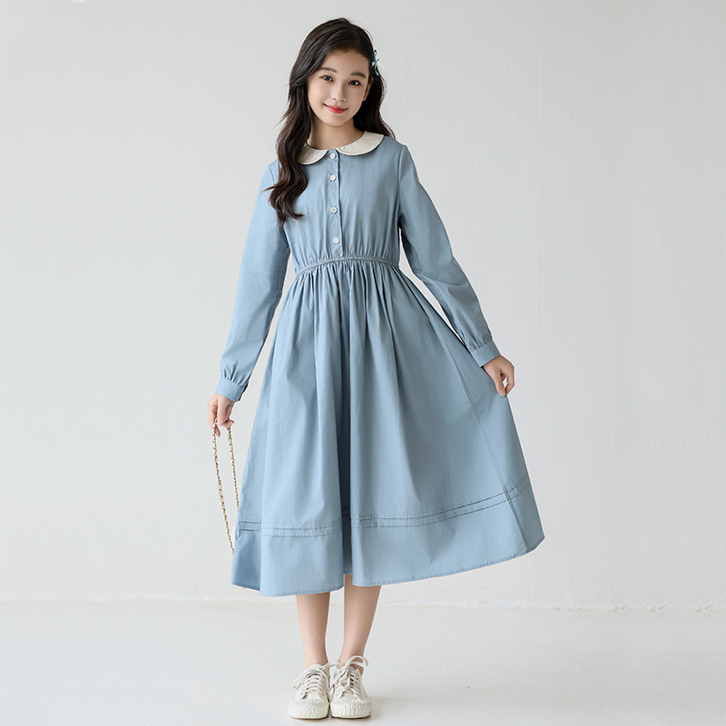 女童秋季长袖连衣裙2025新款中大童韩版收腰简约裙子女孩百搭长裙 - 图0
