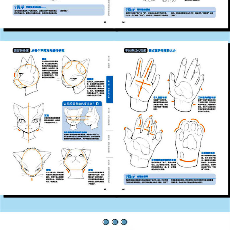 动物幻想曲类人角色绘画研习课超酷兽人角色细节新手零基础成人自学日本动漫画设计二次元造型美术绘画技巧法艺术插画线稿教程书-图3