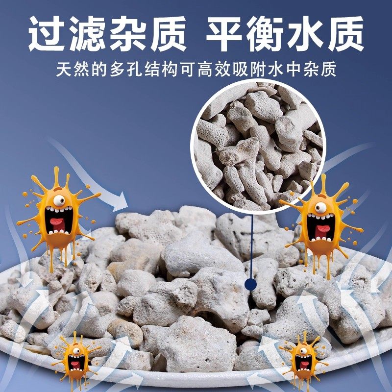 珊瑚骨鱼缸过滤材料水族珊瑚砂海鲜缸水产优质天然珊瑚石鱼池滤材,淘宝优惠券,粉丝福利购,淘宝优惠卷