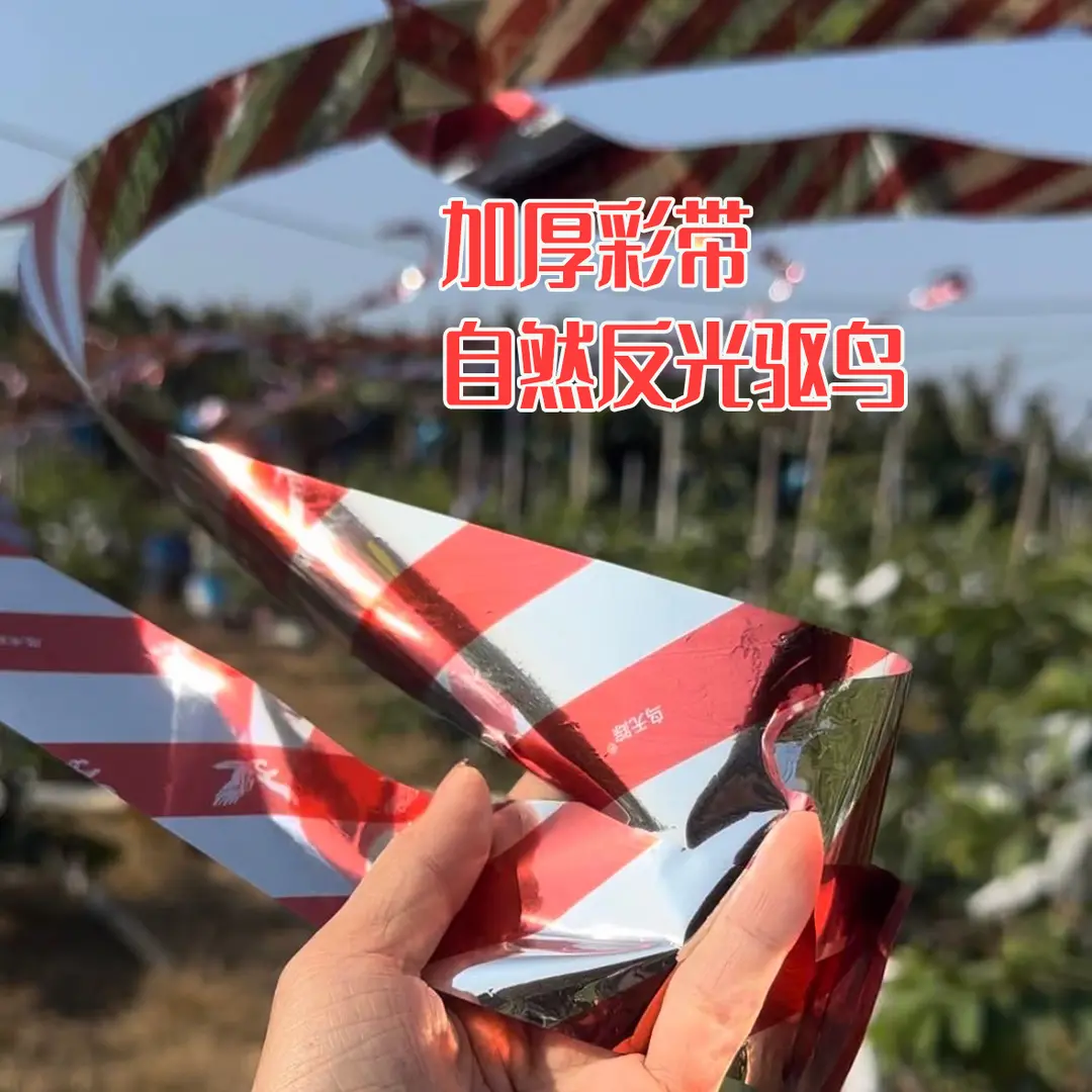 驱鸟彩带反光专用防鸟闪光加厚双面赶鸟惊鸟光彩神器农田果园 - 图2