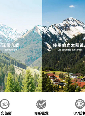 【XF STUDIO】2024小饭家百搭复古遮阳防紫外线护目潮流猫眼墨镜