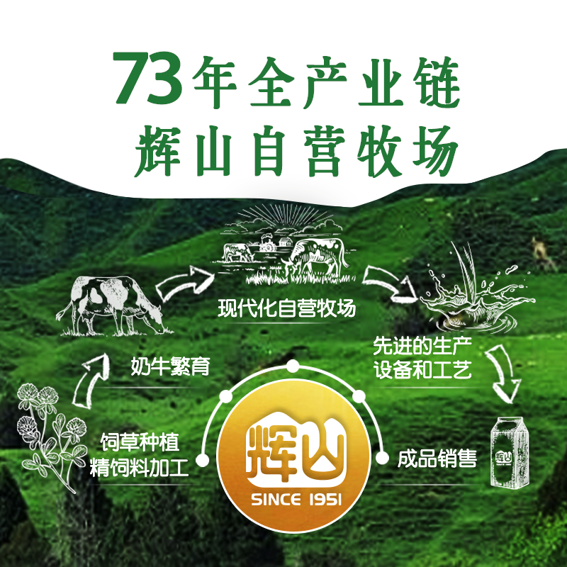 辉山牧场纯牛奶24盒经典250ml整箱学生早餐量贩装官方旗舰店