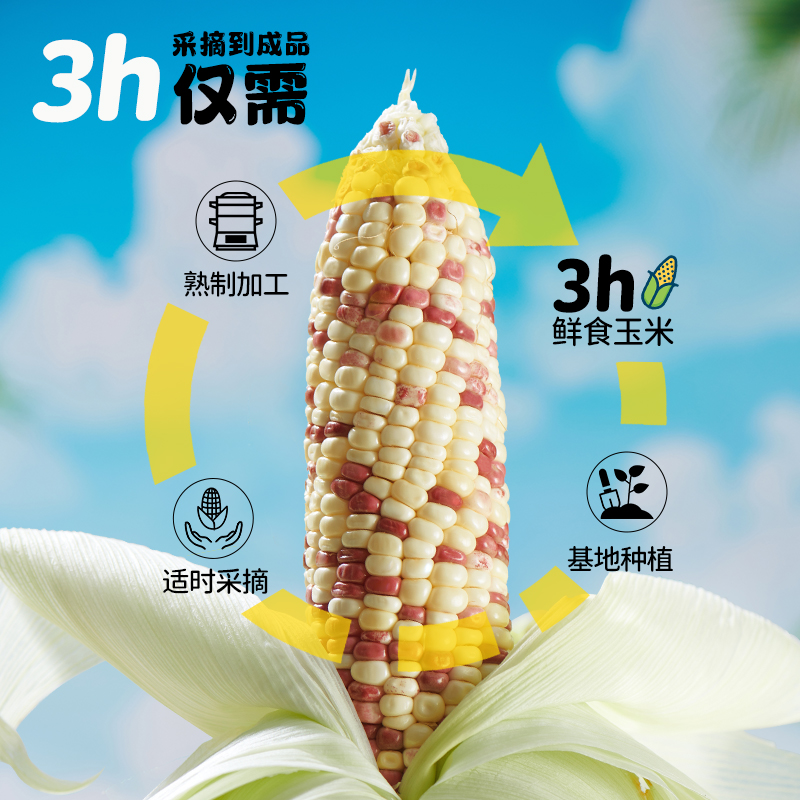 瑞利来花糯玉米低脂新鲜粘甜玉米低脂220g*8根