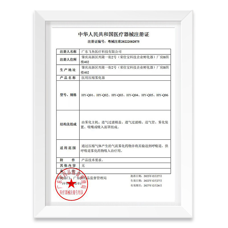  丽医生雾化器