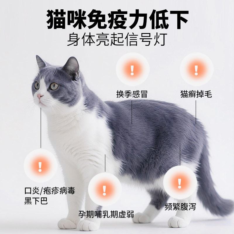 杜玛仕乳铁蛋白维生素猫多维营养补充剂猫咪专用复合免疫维b宠物,淘宝优惠券,粉丝福利购,淘宝优惠卷