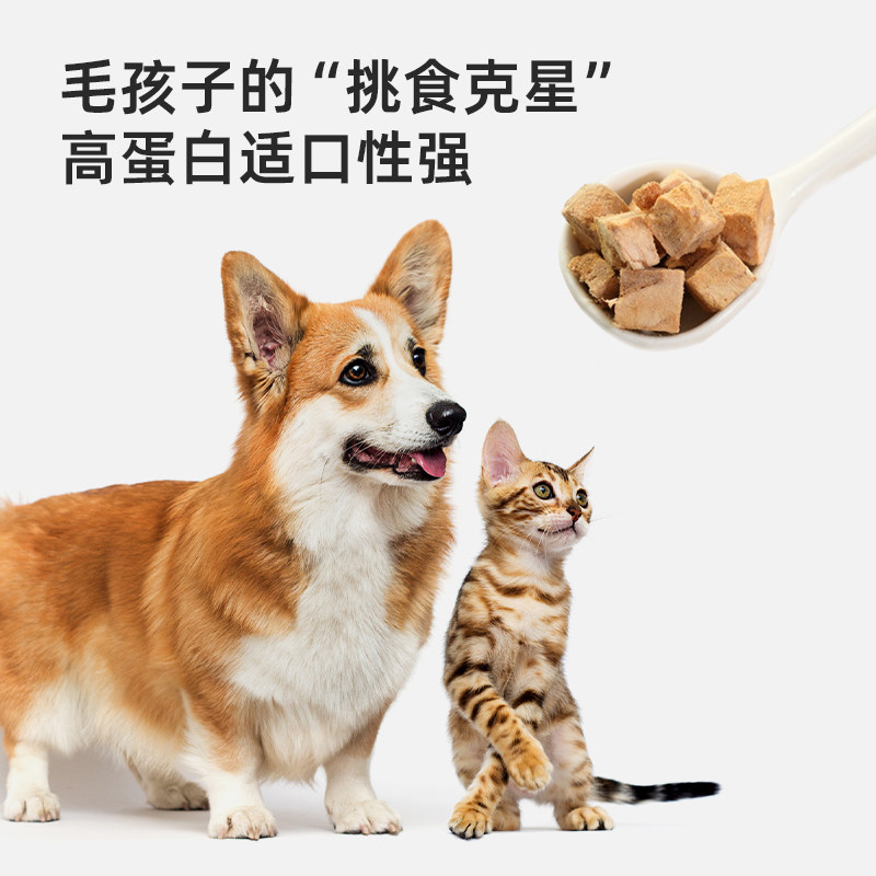 猫咪冻干小零食严选天然深海三文鱼成幼猫补充营养美味泰迪比熊,淘宝优惠券,粉丝福利购,淘宝优惠卷