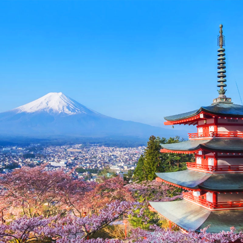 日本旅游东京富士山五合目一日游忍野八海御殿场奥特莱斯跟团游-图3