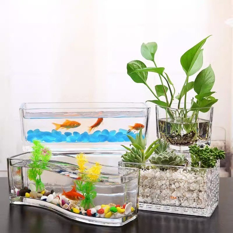 玻璃鱼缸小型创意桌面透明金鱼缸水培植物长方迷你生态景观盆容器,淘宝优惠券,粉丝福利购,淘宝优惠卷