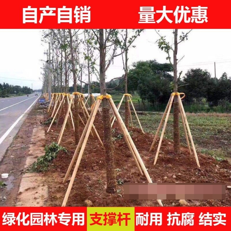 树木支撑架稳定支架园林绿化防风工程支撑固定器杆杉木松木杨木棍 - 图0