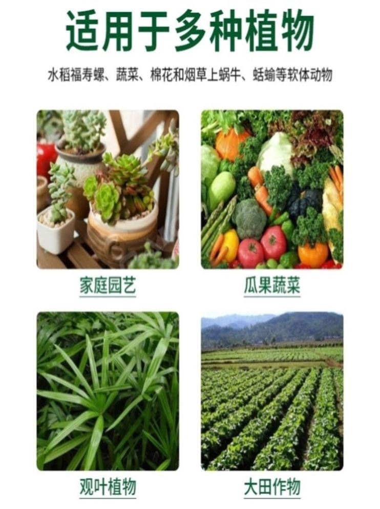 杀蜗牛专用药菜地土壤防治鼻涕虫厨房蛞蝓软体虫田螺特效杀虫药剂 - 图2