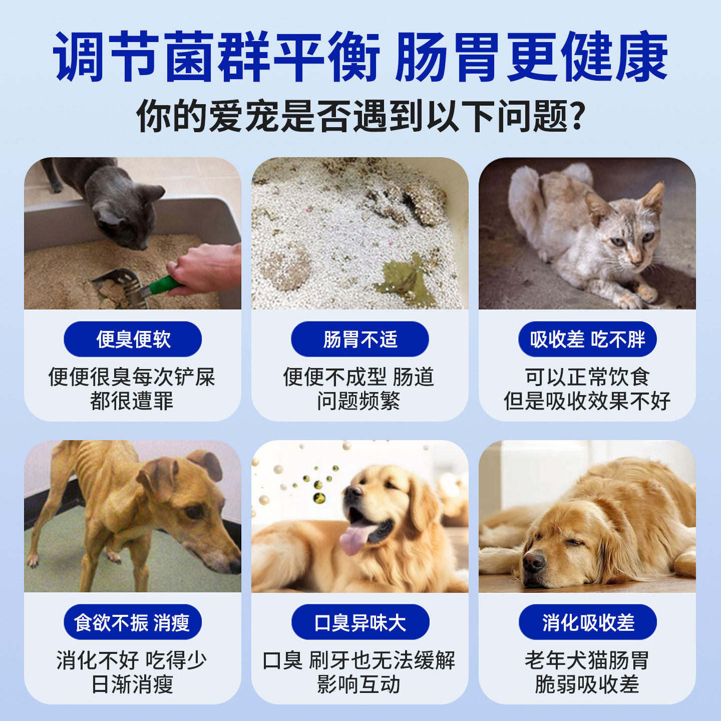 派迪诺猫咪狗狗益生菌宠物调理肠胃便密便臭软便幼犬猫用营养补充