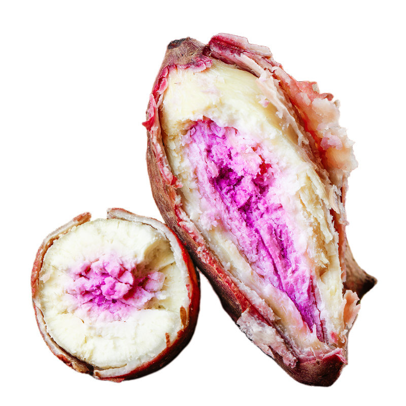  黄六爷四季鲜番薯