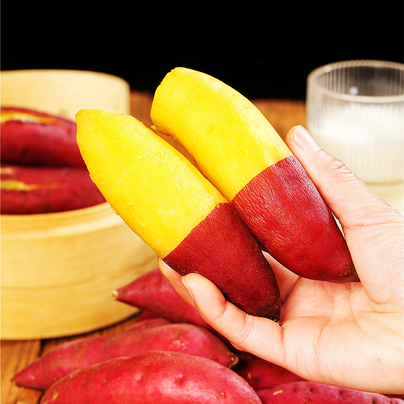  黄六爷四季鲜番薯