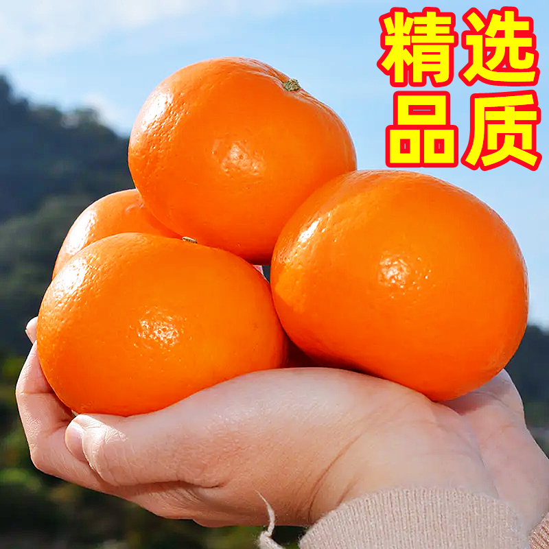 正宗广西沃柑10斤新鲜橘子水果武砂糖皇帝橘柑桔子鸣当季整箱沃柑