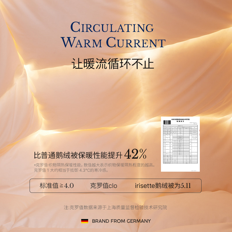 irisette德国抗菌羽绒被95白鹅绒冬被加厚保暖双人被芯春秋被子