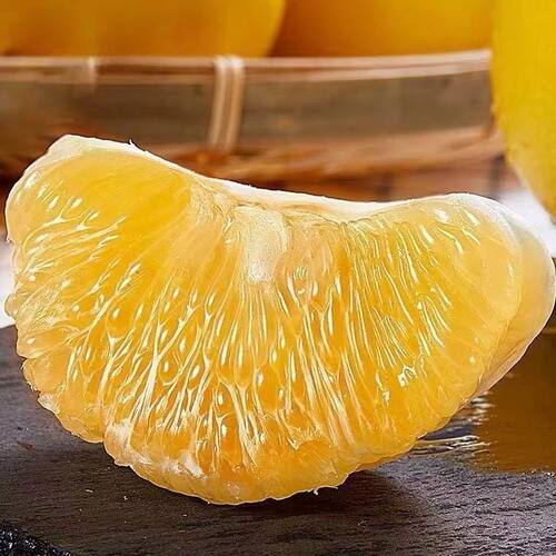 新品种金丝柚子苗冰糖柚蜜柚树苗嫁接柚子树苗甜蜜柚树苗当年结果 - 图0