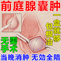 Vestibular Large Glands Pasteuria Glandular Medicine Cure Vulva Pendant with Burning Sensation Labia Lip Swelling Pain Gynecological Inflammation Gel