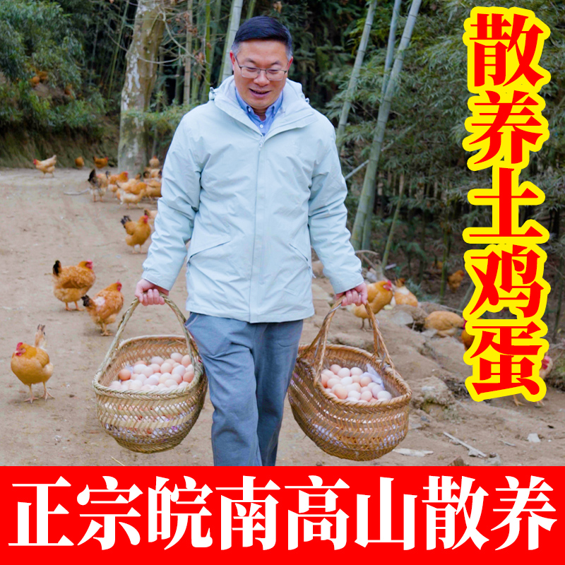 杨博士鸡蛋新鲜土鸡蛋高山散养谷物正宗草鸡蛋柴鸡蛋批发整箱30枚 - 图1