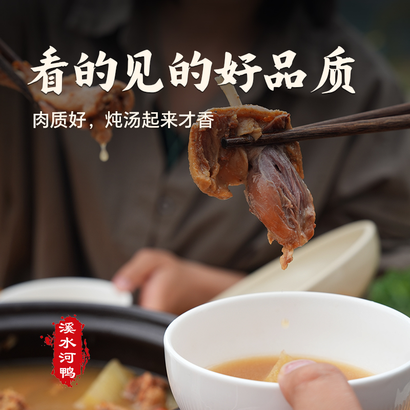 【清凉一夏汤食餐】杨博士鸭子老鸭皖南溪水放养小河鸭新鲜整只