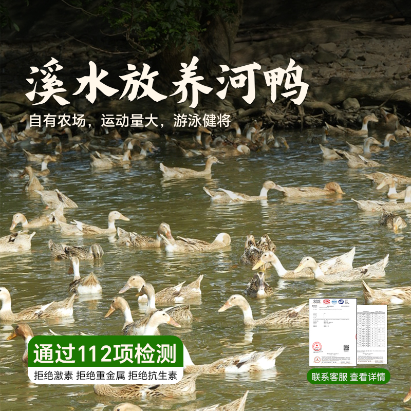 【清凉一夏汤食餐】杨博士鸭子老鸭皖南溪水放养小河鸭新鲜整只