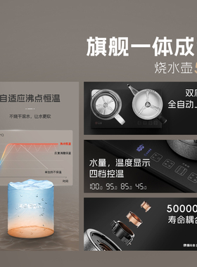 庄信纯钛烧水壶煮茶壶上水电茶炉